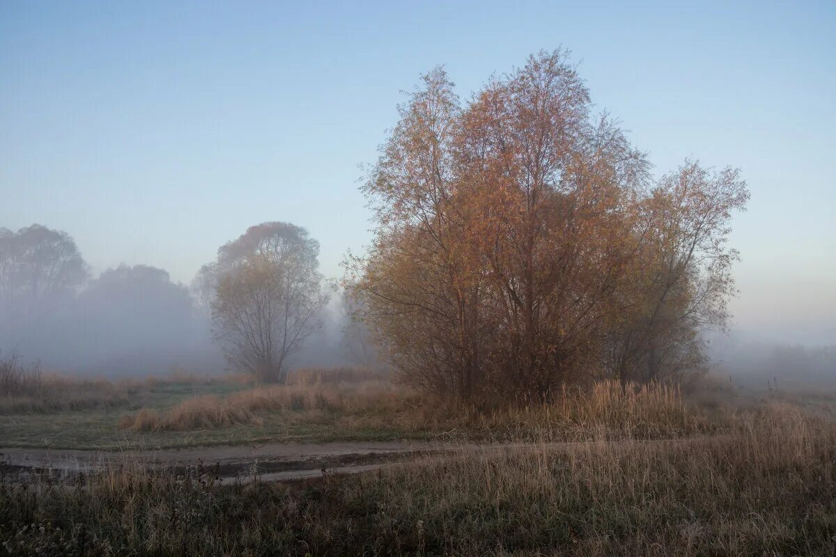 Осенью 2019 года. Морозное осеннее утро. Окраины Воронежа.
