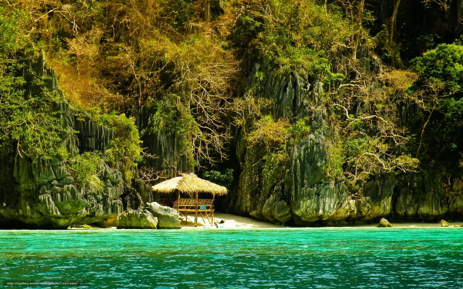 Море экзотика. Остров Палаван леса. Палаван Филиппины. Остров Палаван, Филиппины леса.