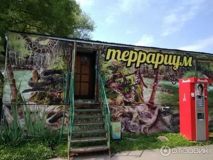 Зоопарк старый оскол автобус