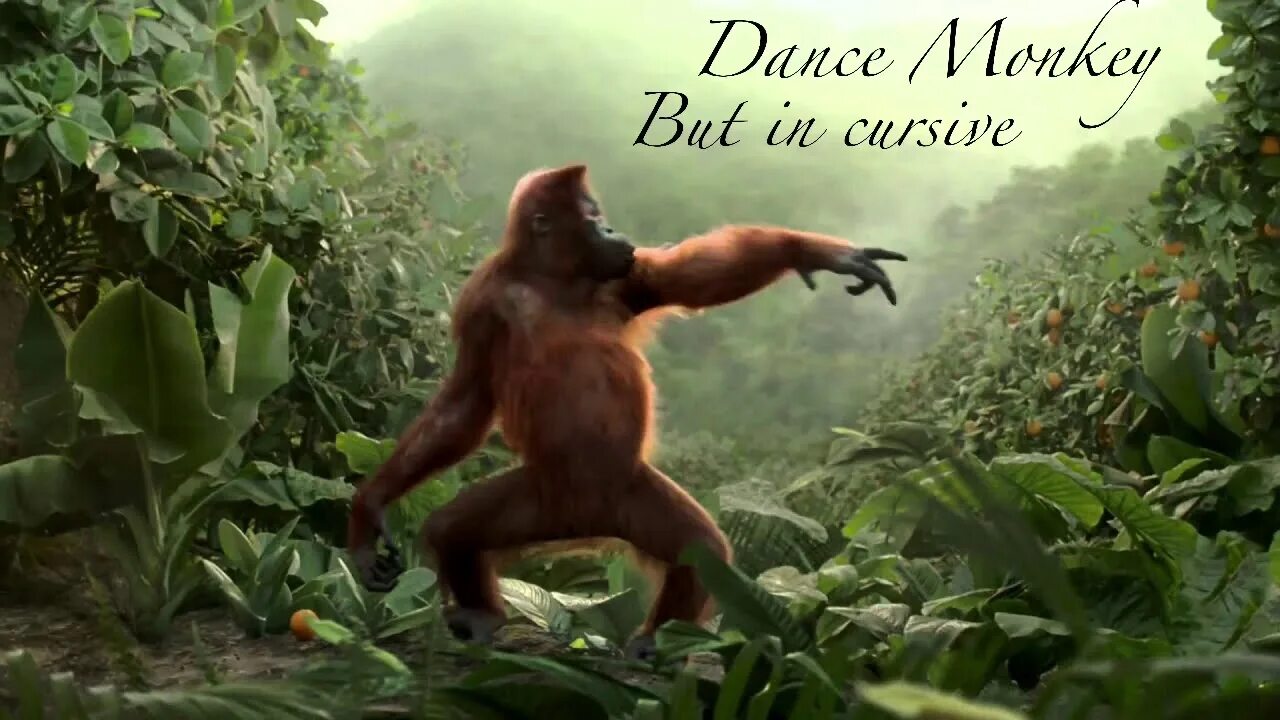 Убегающая обезьяна. Обезьяна танцует. Танцующая обезьянка. Обезьяна бежит. Обезьянка бегает.