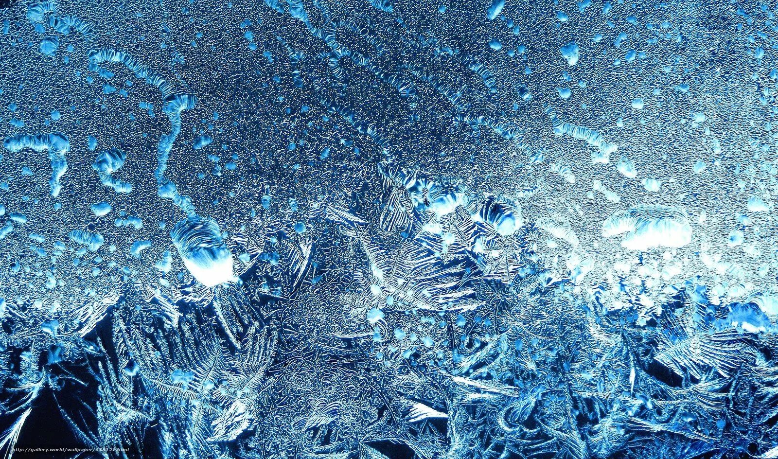 Иней на стекле. Морозные узоры на окне. Узоры льда на стекле. Зимние узоры. Морозные узоры.