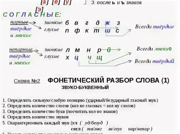 Сухие разбор слова. Фонетический разбор слова схема таблица. Схема фонетического разбора 1 класс. Звуко-буквенный разбор шпаргалка. Фонетический разбор схема анализа.