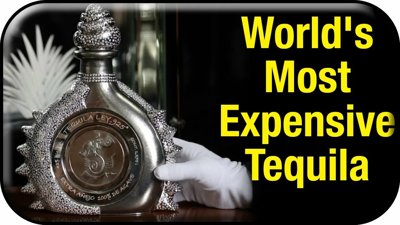 Дорогая текила. Текила lay. Самая дорогая текила. Премиальная текила. The most expensive Tequila.