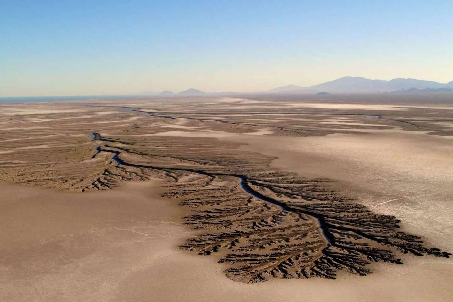 Самая большая по площади пустыня земли. Дельта реки Колорадо. Пустыня Колорадо. Русло реки пустыня Сонора, Мексика. Пересыхающие русла рек в пустынях Австралии.