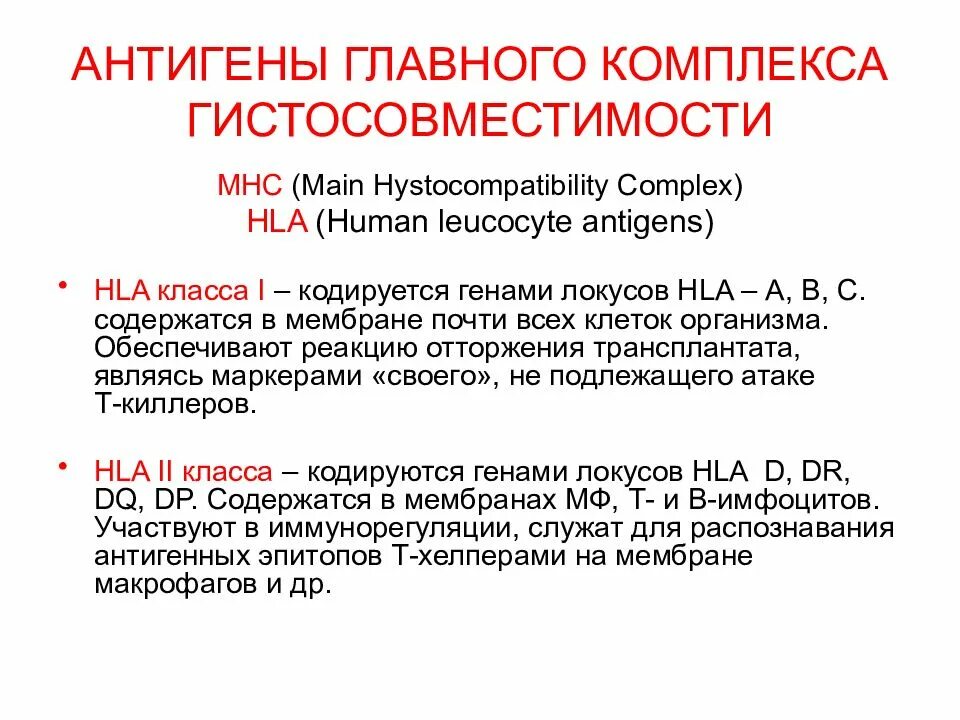 Антигены главного комплекса гистосовместимости. Главный комплекс гистосовместимости презентация. антигены главного комплекса гистосовместимости (мнс). 2. главный комплекс гистосовместимости человека (hla).