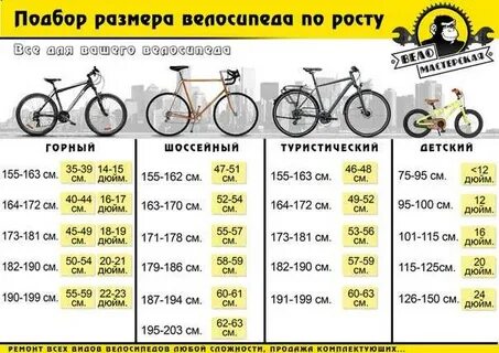 Велосипед на рост 160 женский