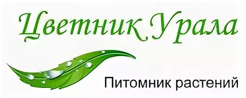 Сады урала каталог. Питомник саженцы урала. Питомник сады урала. Сады урала каталог 2023. Питомник саженцы урала.