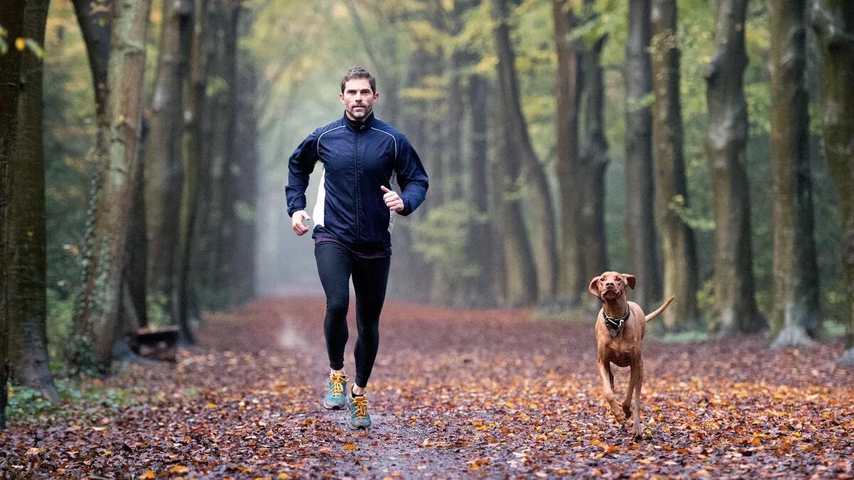 Fall run. Необычный бег. runner in forest. running outdoor autumn. run gear.