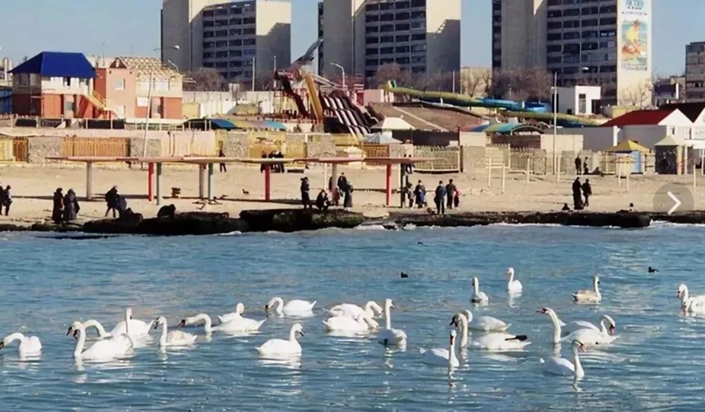 полуостров мангышлак город шевченко. каспий атырау. атырау каспийское море. актау город. курортный город актау казахстан.