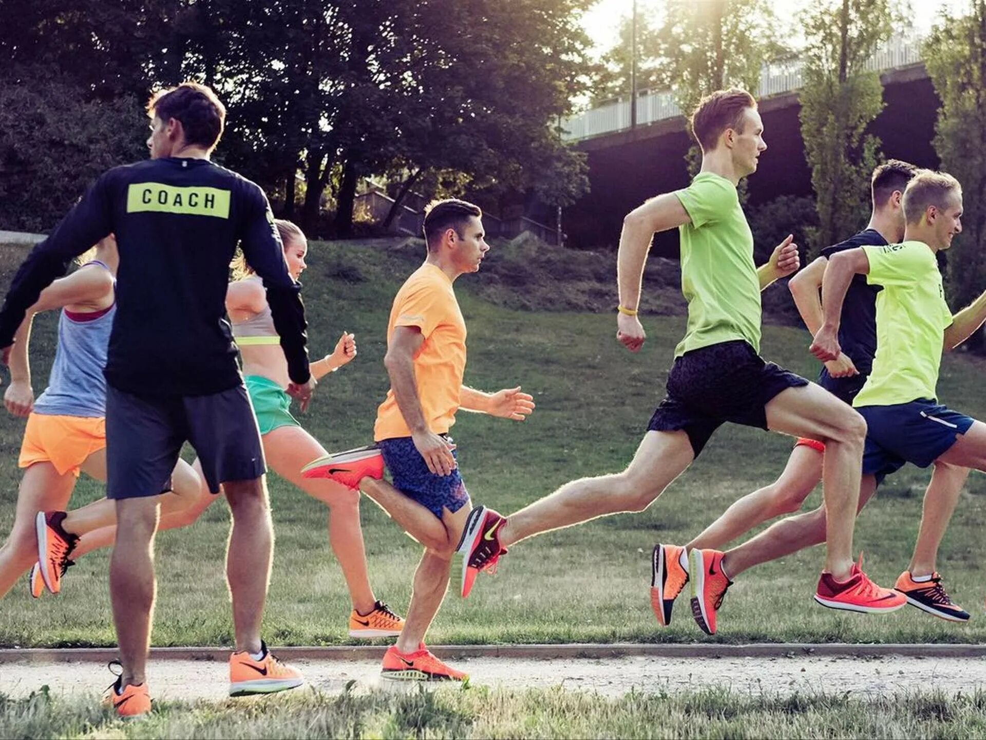 Take part in sports competitions