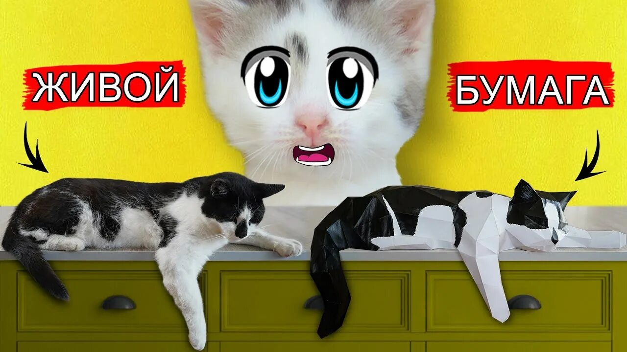 А ну ка малыш. Кот малыш анука давайка. кот из бумаги анука давайка. малыш из бумаги анука давайка. канал внука давай ка кот малыш.