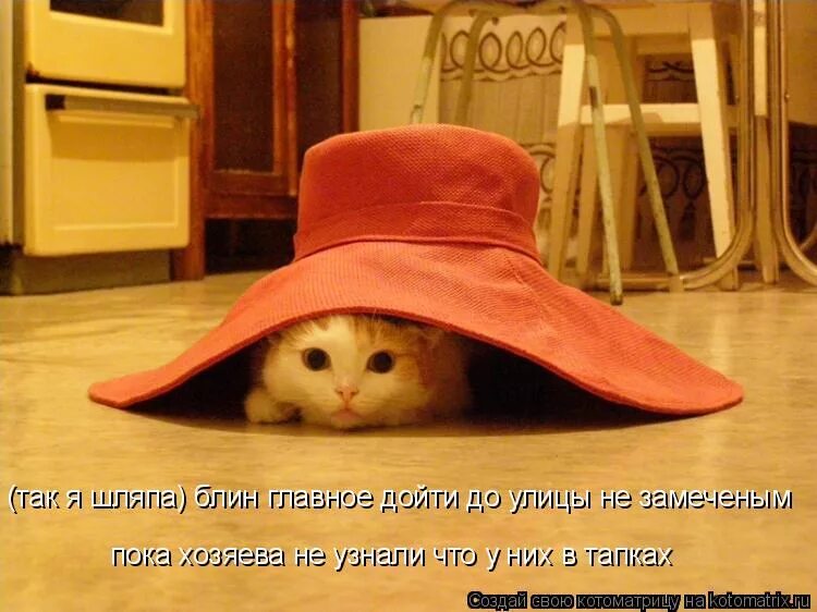Вот я была и нет