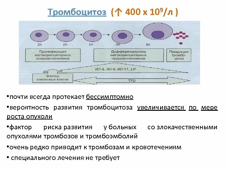 Симптомы тромбоцитоза у взрослых. Тромбоцитоз. тромбоцитоз причины. тромбоцитоз при. тромбоцитоз клинические рекомендации у взрослых.
