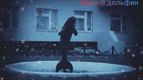 Слушать музыку черный дельфин