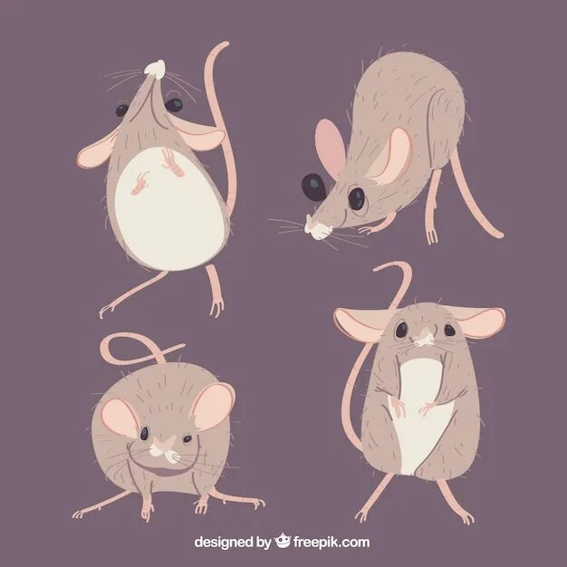 Мама мышка. Animal mouse design. Мышь в иллюстраторе. Картун маус. Крыса акварелью.