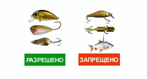 Рыбалка какие запреты