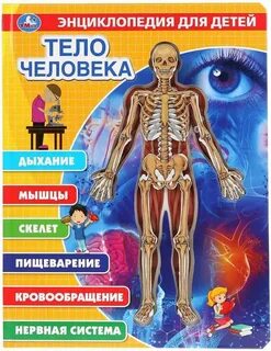 Книга организм