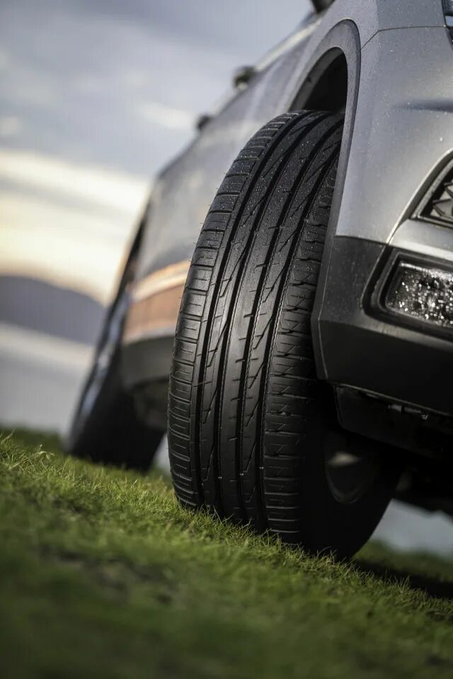 Нокия шины лето. Nokian Hakka Blue 2 SUV 225/65 r17. Nokian Hakka Blue 2. Hakka Blue 2 SUV. Nokian Tyres Hakka Blue 2.