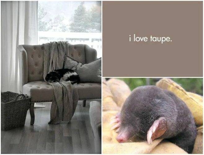 Natural Taupe 2 by Dulux. www.dulux.co.uk