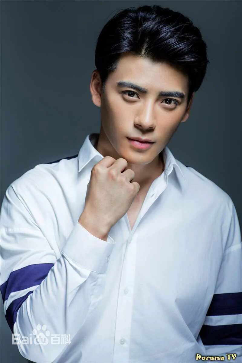 Wang zi feng fan
