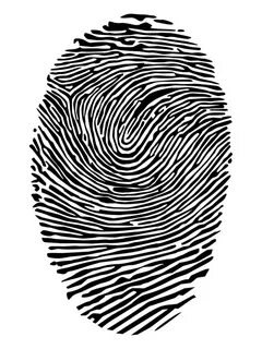 Fingerprinting javascript