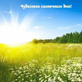 Солнечный день первомайский