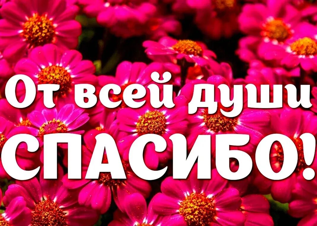 Спасибо большое вам где запятую. Спасибо от всей души. огромное спасибо. спасибо вам большое. спасибо вам огромное.