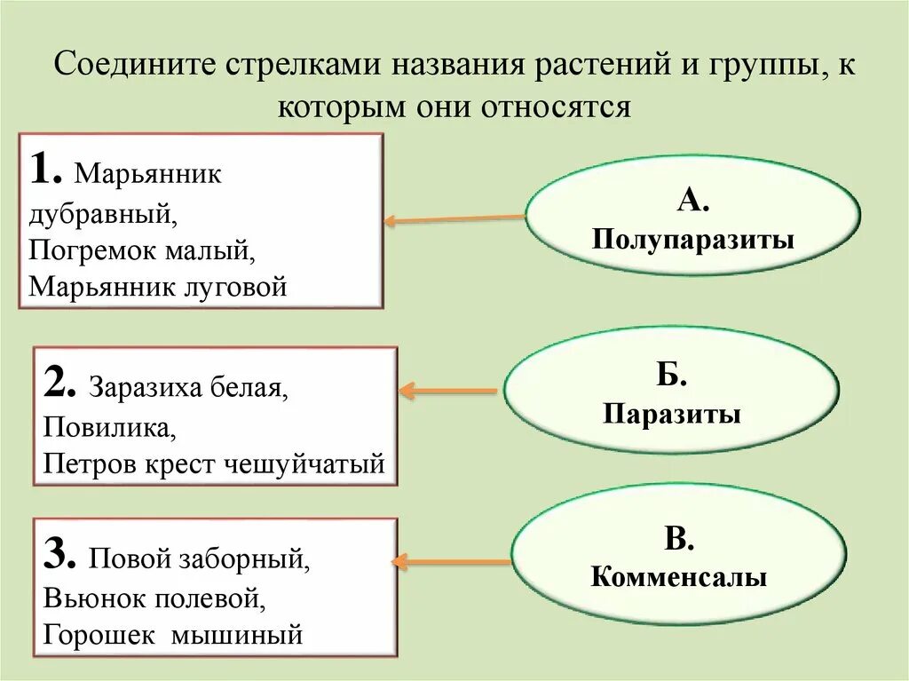 Имя стрелка. Соедини стрелочками названия растений и природных сообществ. Соедини стрелками название признака и название группы растений. Соедините стрелкой имя и понятия. Соедини стрелочками название питательных веществ.