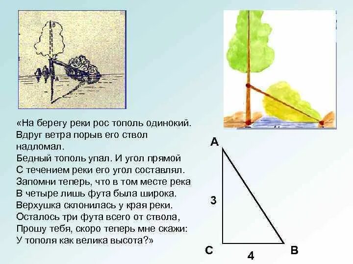 0 2 прямого угла составляют