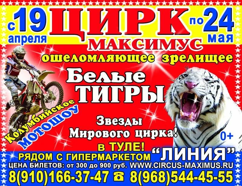 Цирк максимус ступино купить