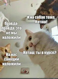 Что она милая