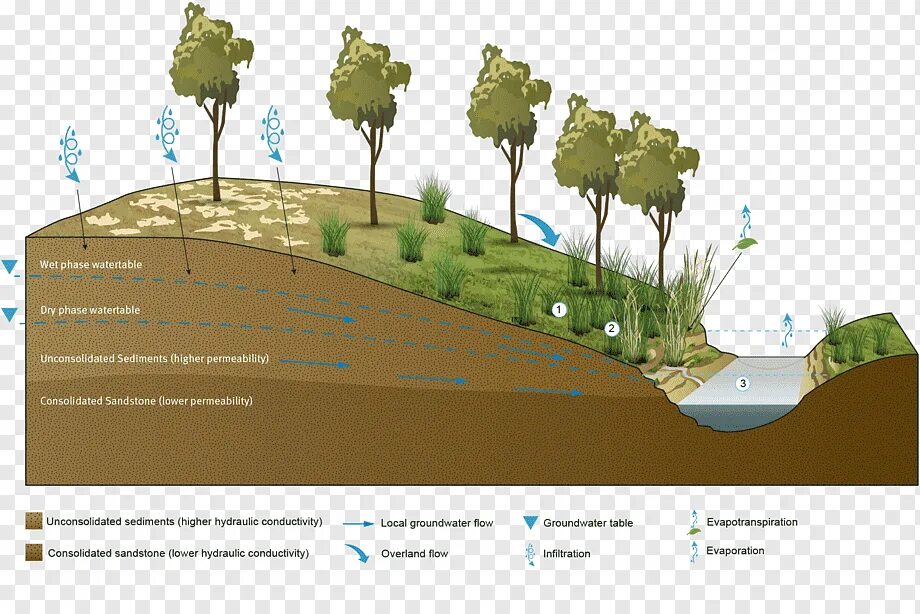 Воды зоны аэрации. Зона аэрации подземных вод это. Воды зоны аэрации почвенные воды. Логотип грунтовая вода. Заболачивание почвы Графика.