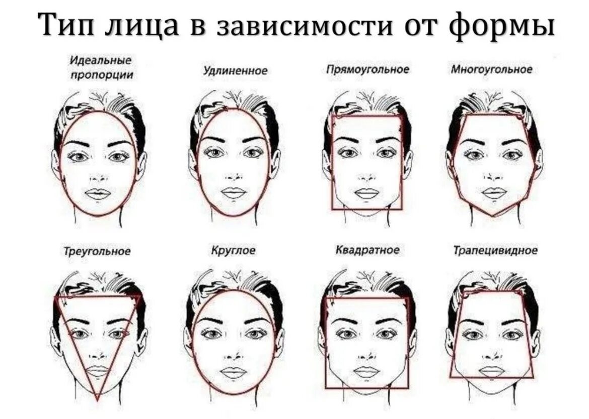 Как отличить форму. Тип лица овал. Типы лица схемы. Формы лица схема. Как опредрлитььтип лица.