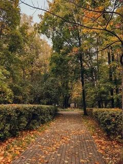 Осень в сокольниках слушать