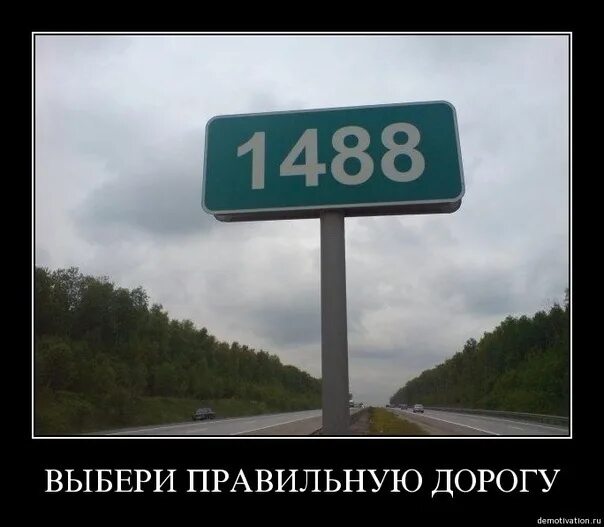 Какой год был 1488 лет назад. 1488 Мем. 1488 Расшифровка. 1488 Стишок. Слоган 1488.