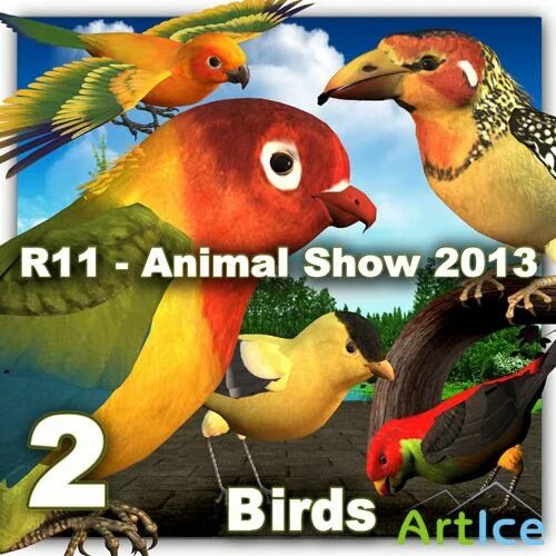 11 animal. Animal show.