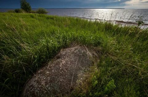 Остров рыбинск