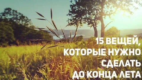 Последнее лето цитаты