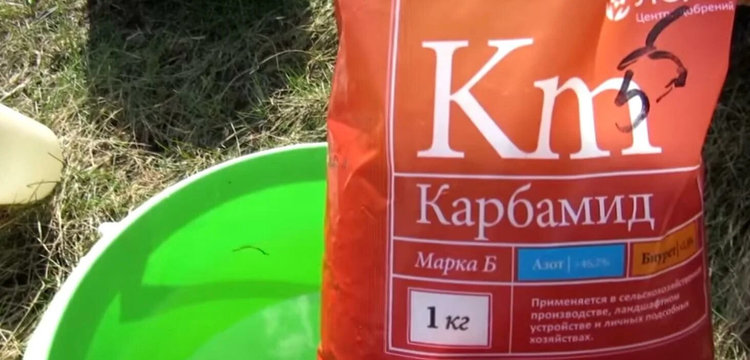 Мочевина как использовать на огороде. Мочевина удобрения. аммиачная селитра для клубники. карбамид для клубники. карбамид для клубники весной.