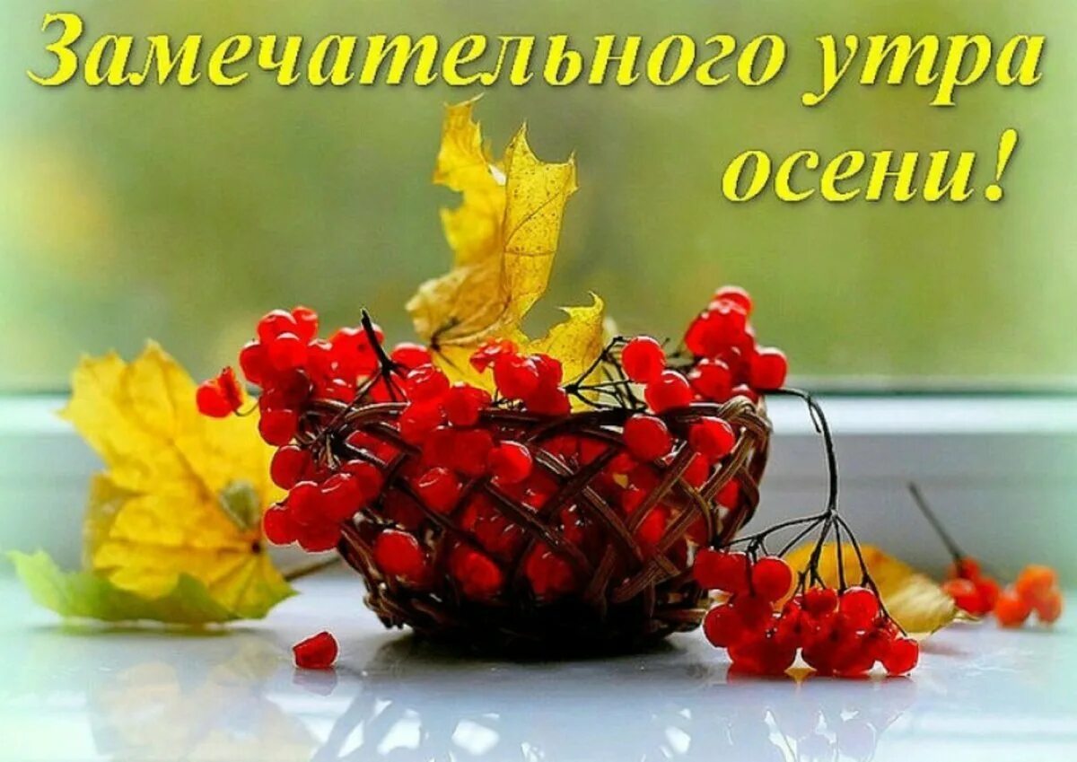 С наступающим днем доброе утро. С добрым осенним утром. С добрым утром осенним с пожеланиями. Поздравление с добрым осенним утром. Открытки доброе утро осенние.