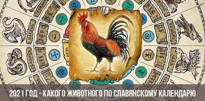 21 какого животного. Кричащий петух по славянскому календарю 2025. 2025 какого животного по славянскому. славянский тотем 2025 года. 2025 год какого животного по славянскому славянскому календарю.