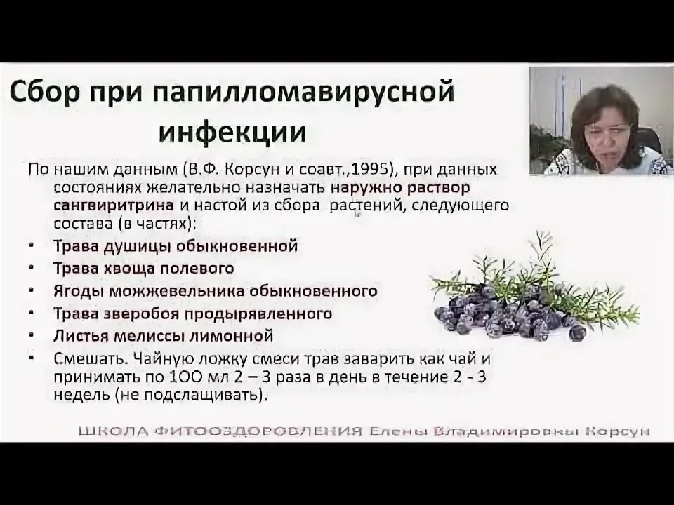 Лекция фитотерапевта. Лекция фитотерапевта. Фитотерапевт ефименко н ю о медунице. Онкология и фитотерапия югов. Фитотерапевт профессия.