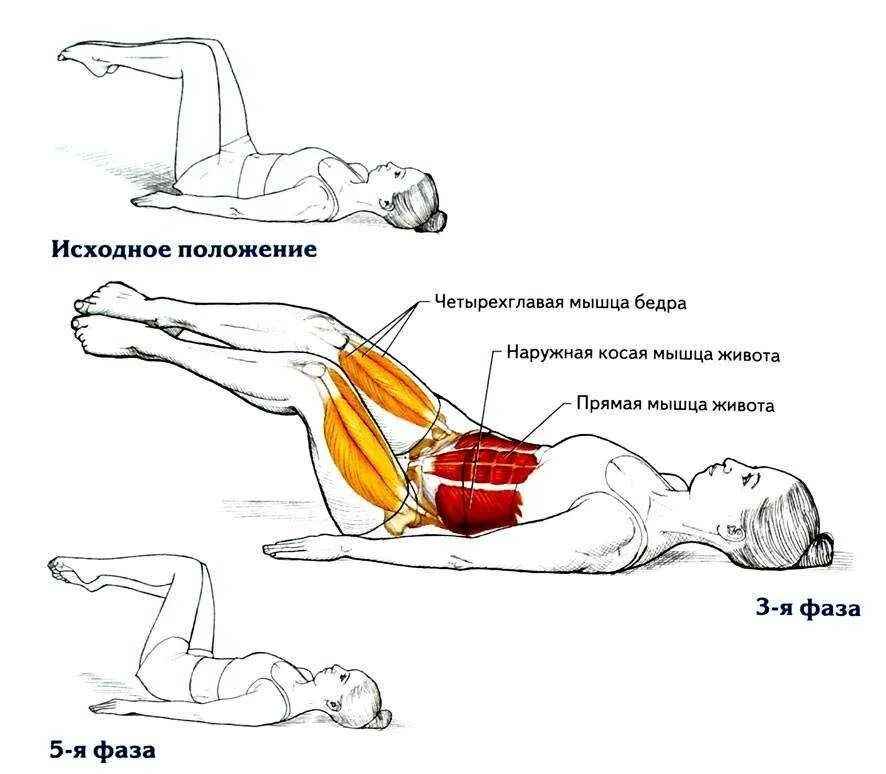 Упражнения для похудения ляшек лежа. Упражнения для убирания жира на ляшках. Упражнения для убирания жира между ног. Упражнения для ляшек и живота. Эффективное упражнение для ляшек