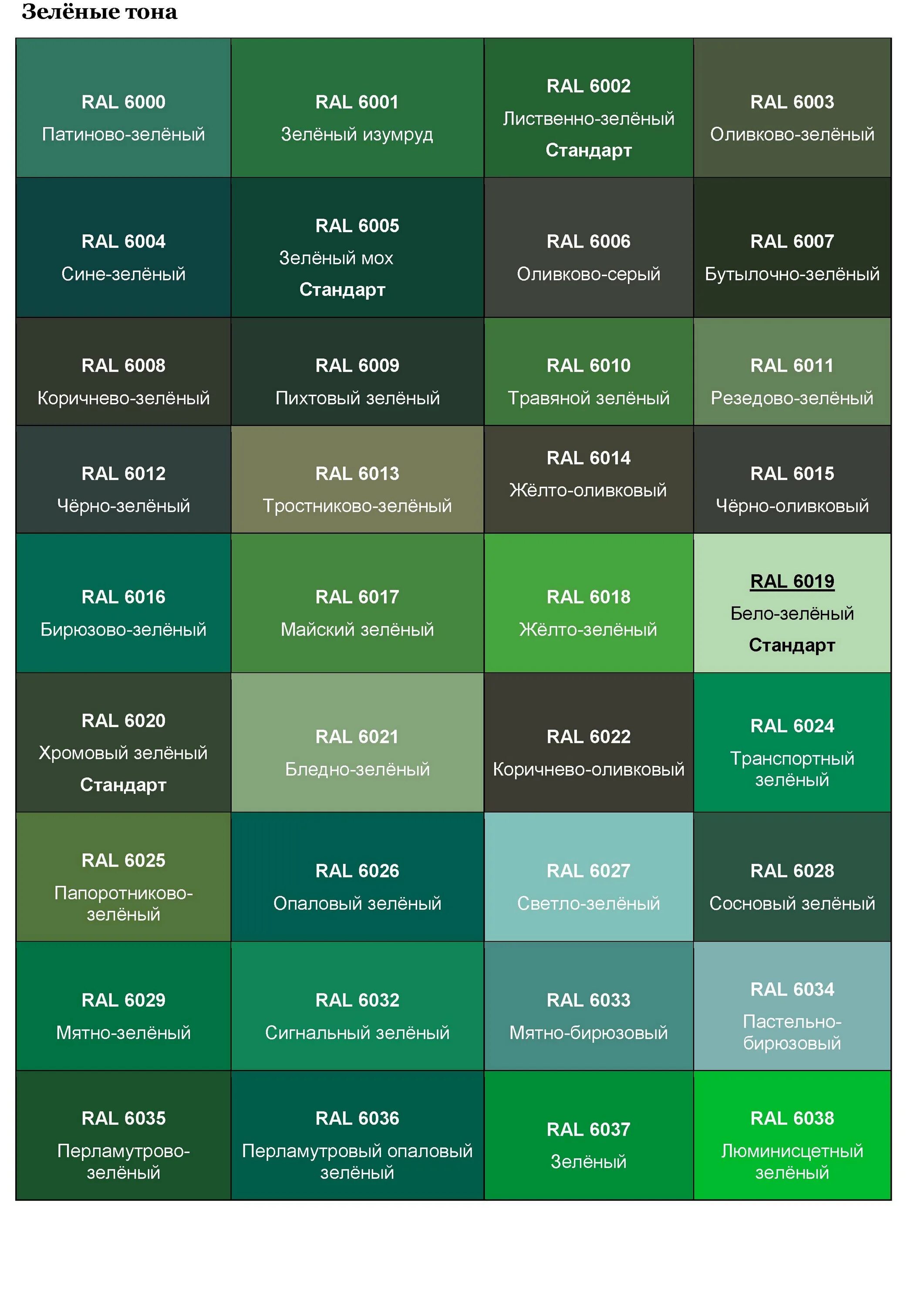 Зелено от какого слова. Фасад профлист RAL 6021. Краска темно зеленая рал. Цвет олива мята RAL. Цвет МАЗ зеленый RAL 6005.