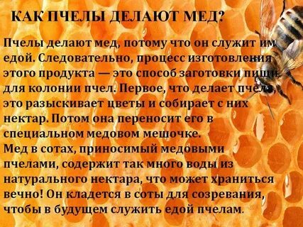 Как делают нектар