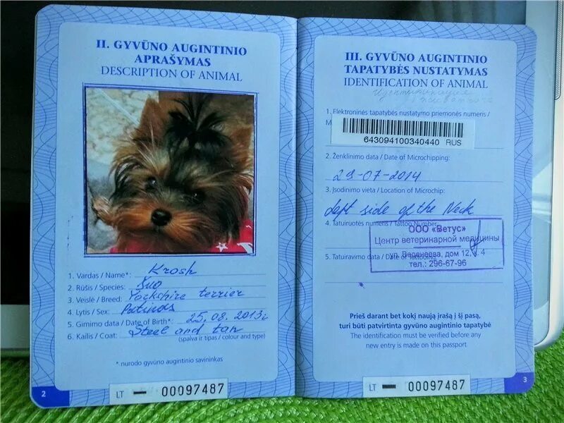 Animal id база