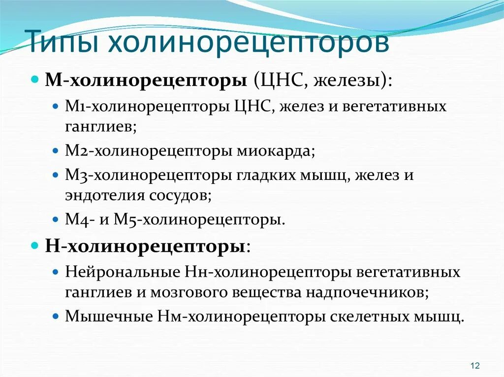 Локализация холинорецепторов. Типы холинорецепторов. Н холинорецепторы. М холинорецепторы типы. Типы и подтипы холинорецепторов.