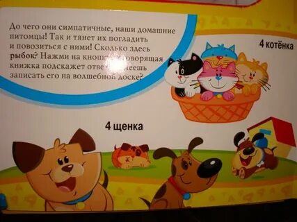 Скажи считать