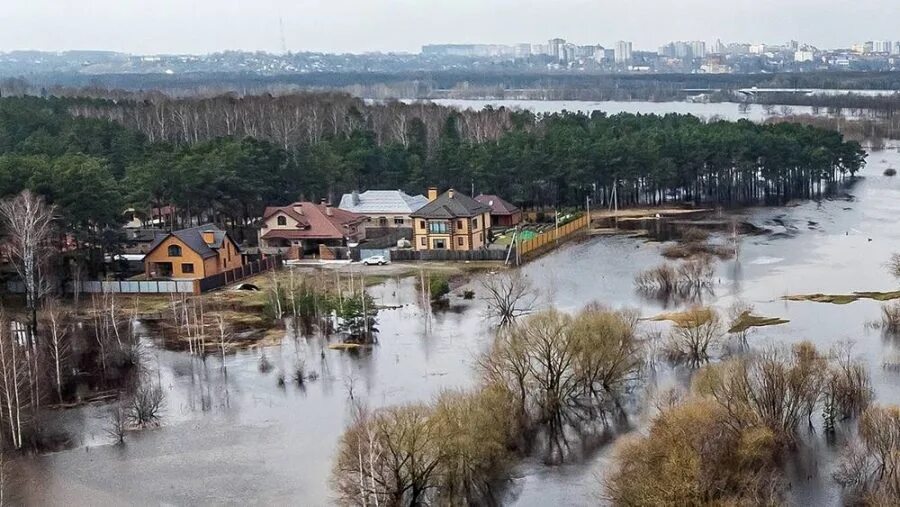 Паводок 2024 брянск прогноз. Паводок в Брянской области 2022. Брянск наводнение 2022. Брянск паводок затоплен огород. Брянск наводнение 1908.