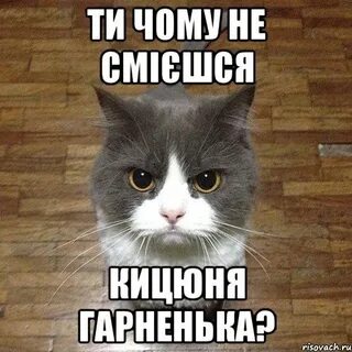 Чому ти